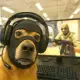 shooter_pro